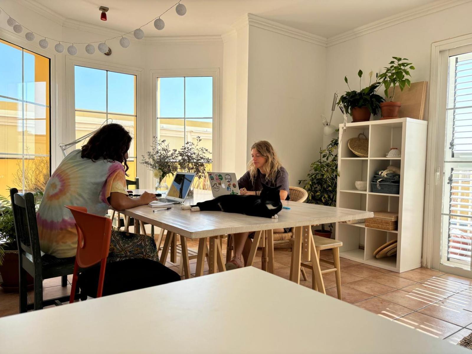 Medano Beach Coliving 엘메다노 외부 사진